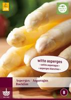 Asparagus Backlim wit 1 bloembol Asperge JUB - Jub