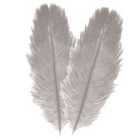 Struisvogelveren/sierveren - 2x - licht grijs - 30-35 cm - decoratie/hobbymateriaal - thumbnail