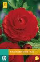 Ranunculus Rood 7 bollen - Jub