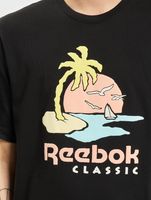 Reebok / t-shirt Summer Graphic in zwart - thumbnail