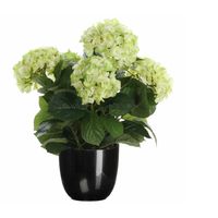 Hortensia kunstplant/kunstbloemen 45 cm - groen - in pot zwart glans - Kunstplanten