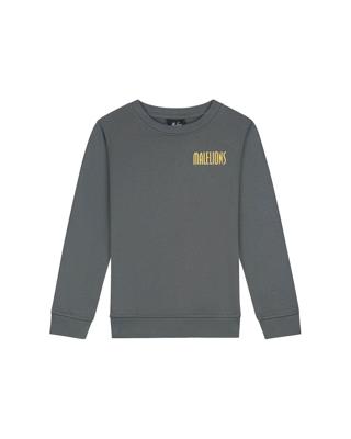 Malelions winter sweater jongens - grijs - hollywood map