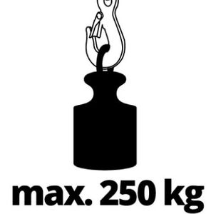 Einhell 2255130 Elektrische kabeltakel Draagkracht (met keerschijf) 250 kg Draagkracht (zonder keerschijf) 125 kg