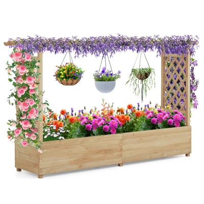 Verhoogd Bloembed met Rankrooster en Hangend Dak Bloembak voor Klimplanten en Hangende manden voor Binnenplaats Tuin