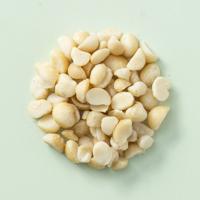 Macadamia noten stukjes ongebrand 11,34 kg doos