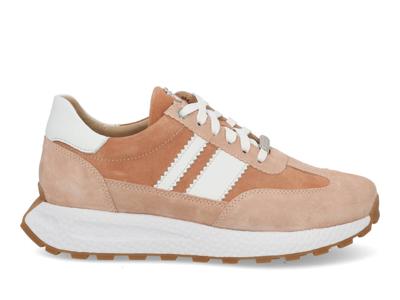 Footnotes 15020 terra combi brique maat 37