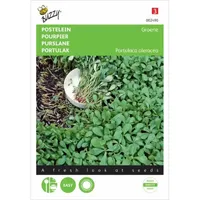 Postelein Groene