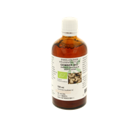 Cruydhof Zingiber officinalis rhiz/gember tinctuur bio 100 Milliliter
