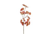 Decostar Countryfield Kunstblad Tilia bruin-L15B10H88CM Decostar Countryfield Kunstblad Tilia bruin-L15B10H88CM