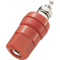 TRU COMPONENTS Poolklem Rood 30 A 1 stuk(s)