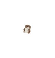 Hamster