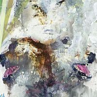 Tail Swallover And Dove - CD (0803238007823) - thumbnail