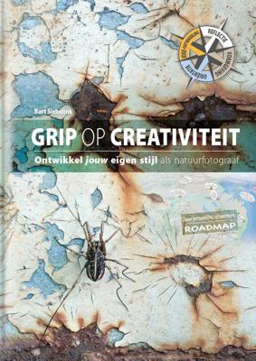 Grip op creativiteit (Hardback)