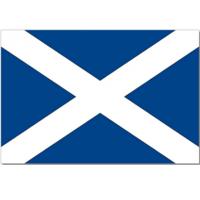 Vlag Schotland - 90 x 150 cm - Schotse Vlag - Scotland