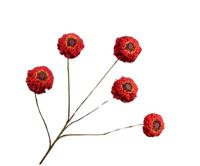 Zinnia tak rood 91 cm Silk-Ka - Silkka