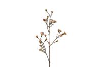 Kunstknop Acer roze - Countryfield