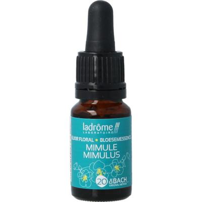 Ladrome Mimulus bio
