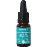 Ladrome Mimulus bio