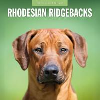 Rhodesian Ridgeback Kalender 2026 Rhodesian Ridgeback Kalender 2026