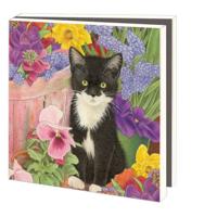 Kaartenmapje Franciens katten, 10 Stuks met Enveloppen