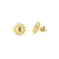 Dames oorbellen Radiant RY000155 Roestvrij staal 1 cm