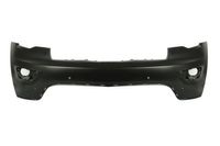 Bumper 5510003207901P