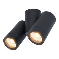 Silva plafondspot - Plafondverlichting - Kantelbaar - 2 spotlights - 2700K warm wit - Wandspot - IP65 waterdicht - Zwart