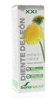 Taraxacum officinalis XXI extract - thumbnail