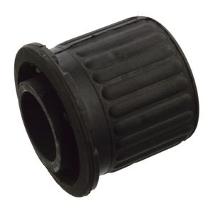 Vooraslichaamlager 10301
