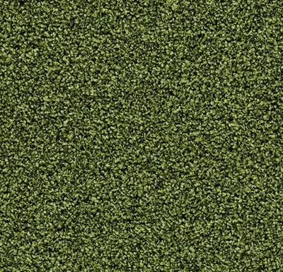 Coral Bright 2608 Fresh Grass 200 cm breed