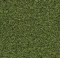 Coral Bright 2608 Fresh Grass 200 cm breed