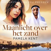 Maanlicht over het zand