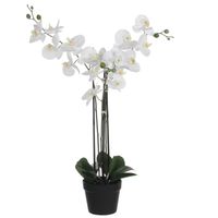 Mica Decorations Orchidee bloem kunstplant - wit - H75 x B50 cm    - - thumbnail