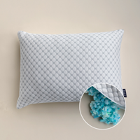 Hoofdkussen CloudAir 50x70 Cm Default Title Anti Allergie & Anti Huisstofmijt & Medium & Rugslaper & Zijslaper & Buikslaper EazySleep -