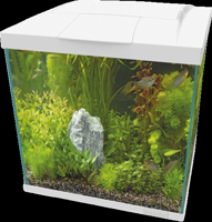 Superfish Start Qube 60 kit wit