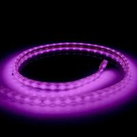 Led strip paars 10m 10 meter 220V AC 60 led per meter (6 kleuren) Led strip paars 10m 10 meter 220V AC 60 led per meter (6 kleuren)