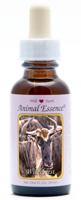 Animal Essences Wildebeest 30 Milliliter
