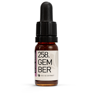 Gember CO2 Extract 10 ml