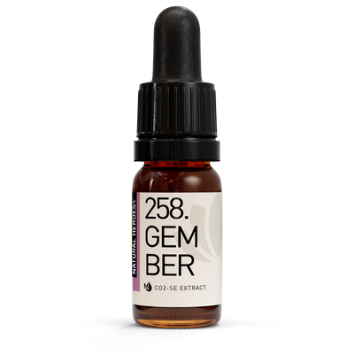 Gember CO2 Extract 10 ml