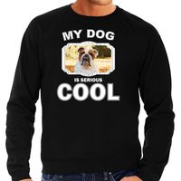 Britse bulldog honden sweater / trui my dog is serious cool zwart voor heren