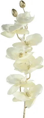 Countryfield kunsttak orchidee 80cm crème