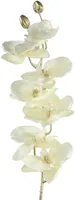 Countryfield kunsttak orchidee 80cm crème