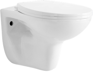 Linie Lina hangend toilet hoogglans wit spoelrandloos, inclusief isolatieset