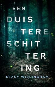 Een duistere schittering - Stacy Willingham - ebook