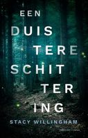 Een duistere schittering - Stacy Willingham - ebook - thumbnail