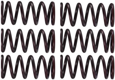 TRW koppelingsveren set clutch spring kit mef300-6