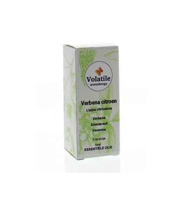 Verbena citroen