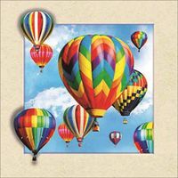Schilderij - Luchtballon 3D Look, 30x40