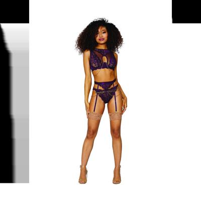 Dreamgirl Dames Kanten en Gaas 3 Delige Set - XL - Aubergine