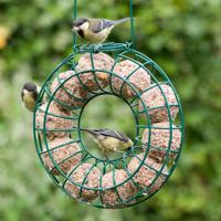 Metalen mezenbolhouder rond groen 25x7 cm - Gebr de boon